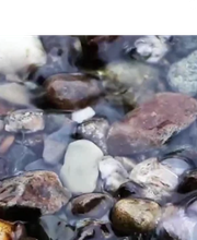 Catherine Mache image 1