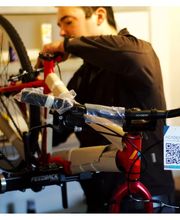 Weiland Bikes Bild 3