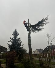 HDS Hausmeisterdienste Falko Stange Bild 2