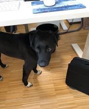 P-Call GmbH & Co. KG Bild 9