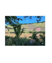 Pflegekindertreff Bild 6