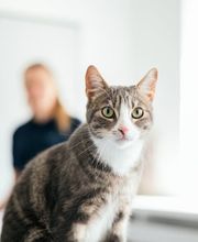 Tierarzt Schlüter Kiel, Tierarztpraxis Schlüter Bild 6