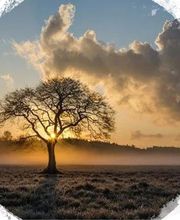 Evasion Aménagement image 5