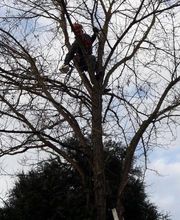 GONIN PIERRE image 3