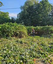 Müller Garten & Haus Bild 7