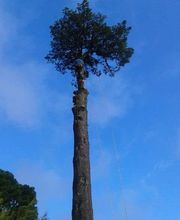 Gicquiaud Paysage image 2