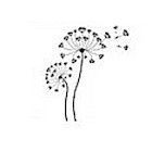 Fleurs Schildknecht