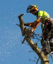 Allais et Fils image 19