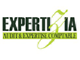 Expertizia