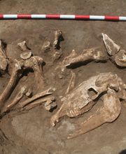 Contexto - Gestión Cultural y Comunicación, S.L. imagen 6