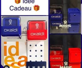 OKAIDI COGNAC CHATEAUBERNARD image 5