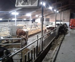 Elektro Stoffelberg AG Bild 10
