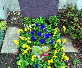 Farner Gartenbau AG Bild 5