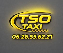 TSO Taxi image 1