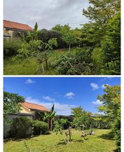 Murmures de Jardin Services SARL image 2