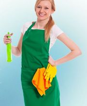 Clean Team Paunovic Bild 4