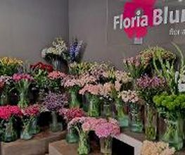 Floria Blumen Bild 16