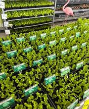 Bricomarché Chauny image 13