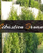 Bruand Sebastien Sébastien image 3