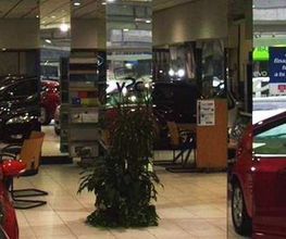 Ford Mintegui imagen 15