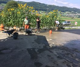 BAUGESCHÄFT Werren GmbH Bild 2