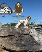 Rock Products Inc. image 6