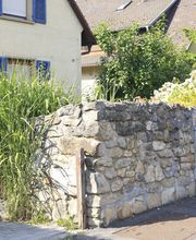 Elztal Gartenbau Bild 63