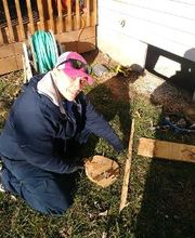 Fleetwood Pest Control image 7