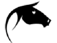 Centre Equestre De Serqueux