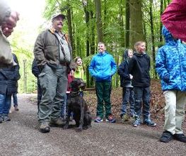 Camping Erbenwald Bild 13