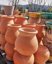 Villaverde Rocchietta Jardinerie Animalerie Le Beausset image 13