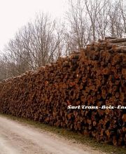 Trans Bois Energy 39 SARL image 17