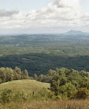 Animal Medical Services image 5