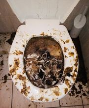 DSP Canalizzazioni Sagl Bild 4