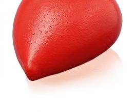 Gerber Pompes Funèbres Sarl Bild 1