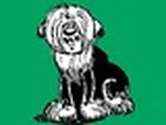 Vacances Canines et Félines