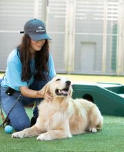 Pet Paradise Charlottesville image 5