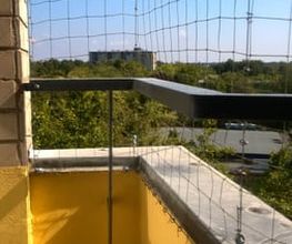 bioControl Schädlingsbekämpfung - Christian Hackel  Blossin  Deutschland