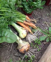 Le Jardin Adelis image 7