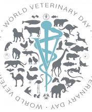 Cabinet Vétérinaire de St-Jean Bild 3