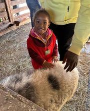 Field trip to The Children's Farm at the Center in Palos Park