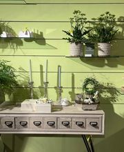 Blumen Oase GmbH Bild 13