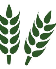 AgrarPartner-Beratung und Service GmbH Bild 1