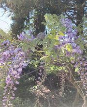 Ferme du Roussel image 8