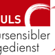 Kultursensibler Pflegedienst Impuls