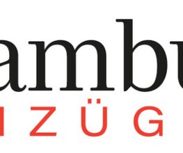 Hamburger Umzüge Bild 2