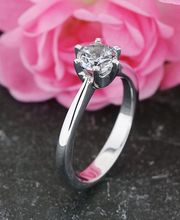 Niederer Pierre-James Bild 7