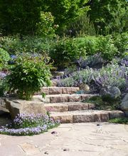 Walter Schmitz Gärten für Auge und Seele Bild 10