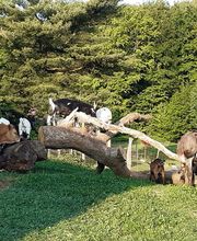 Thieles Hofladen Bild 4