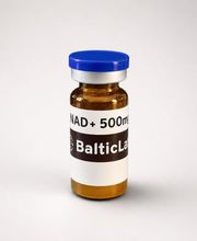 BalticLabs Bild 7